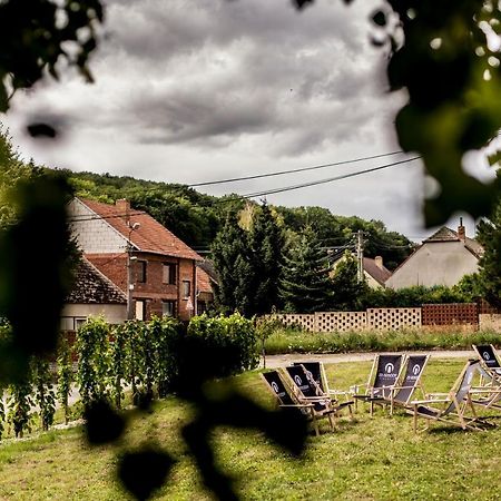 Turistická ubytovna Vinařství ZD Němčičky Exteriér fotografie